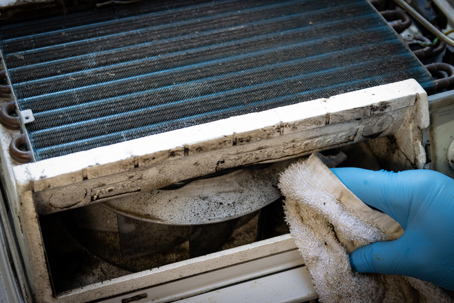 black mold in the AC