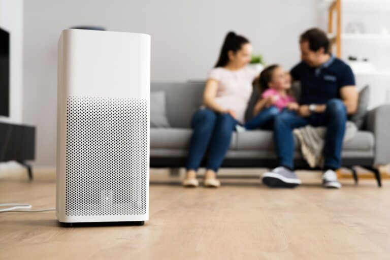 air purification systems family in the back enjoying good quality air