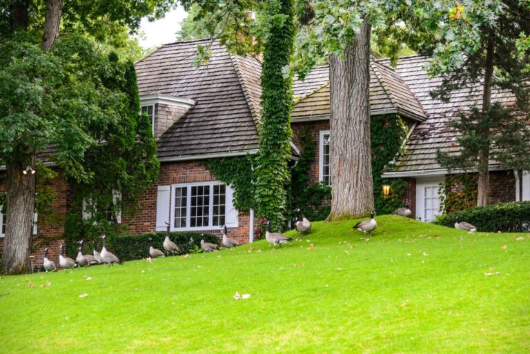 minneapolis house