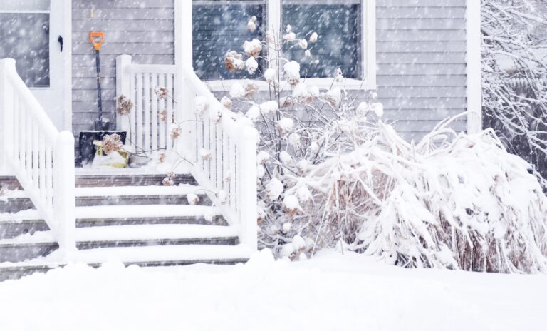 Porch of a house and plants around during a snowfall. Bad weather